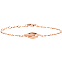 Daniel Wellington DW Classic Unity Lumine 155-185 mm Rose Gold